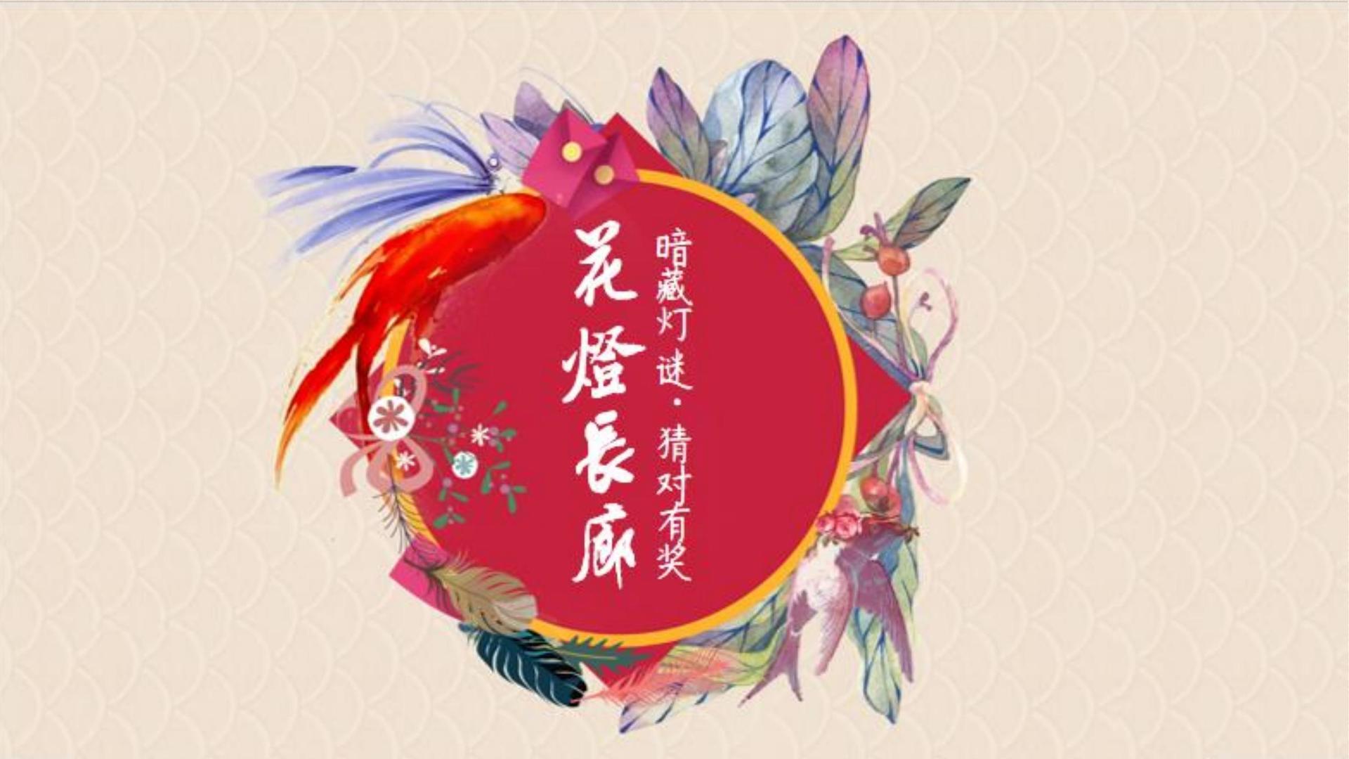 舞蹈影像展《身体记录》